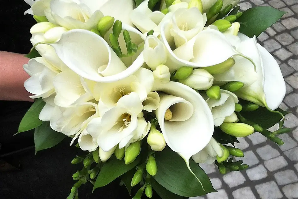 L'Histoire d'une Fleur — photo 6