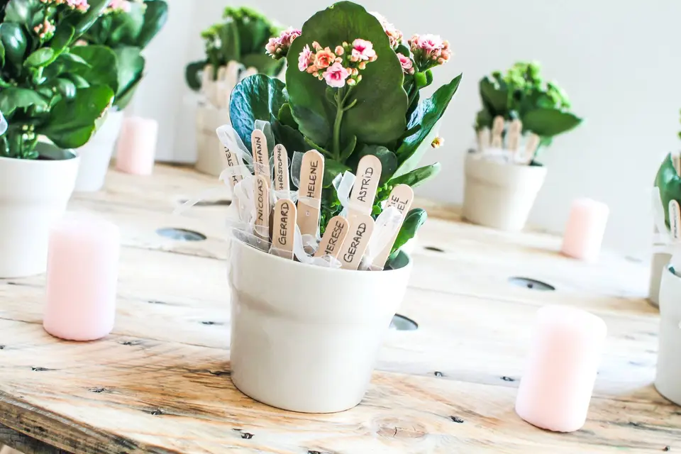 Save the date — photo 5