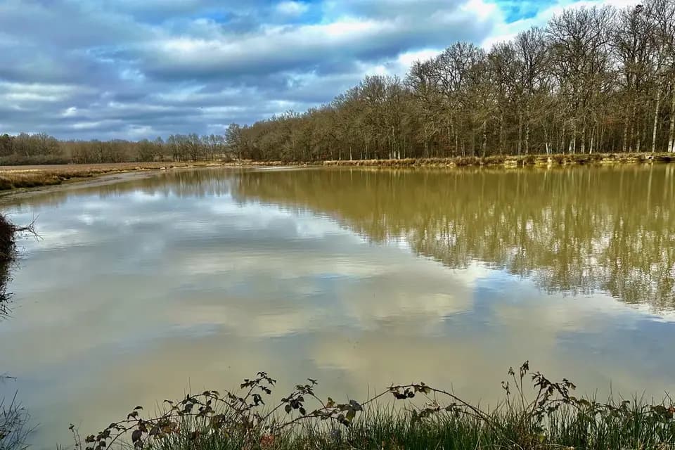 Domaine du Breuchet — photo 8