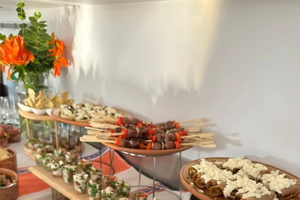 Monsieur Cactus — photo 3