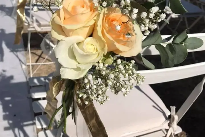 Domaine du Vallon des Sources — photo 5