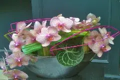 Coin de Nature — photo 6