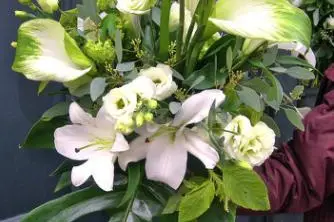 Coin de Nature — photo 7