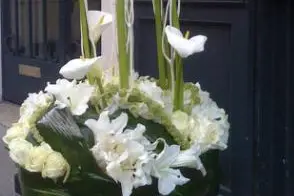 Coin de Nature — photo 8