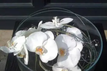 Coin de Nature — photo 3