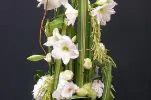 Coin de Nature — photo 4