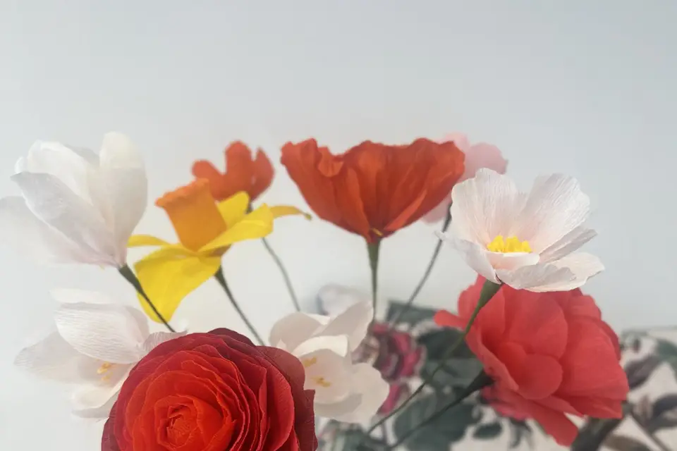 Ombrelle — photo 2