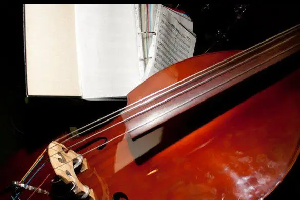 Profil Jazz — photo 6