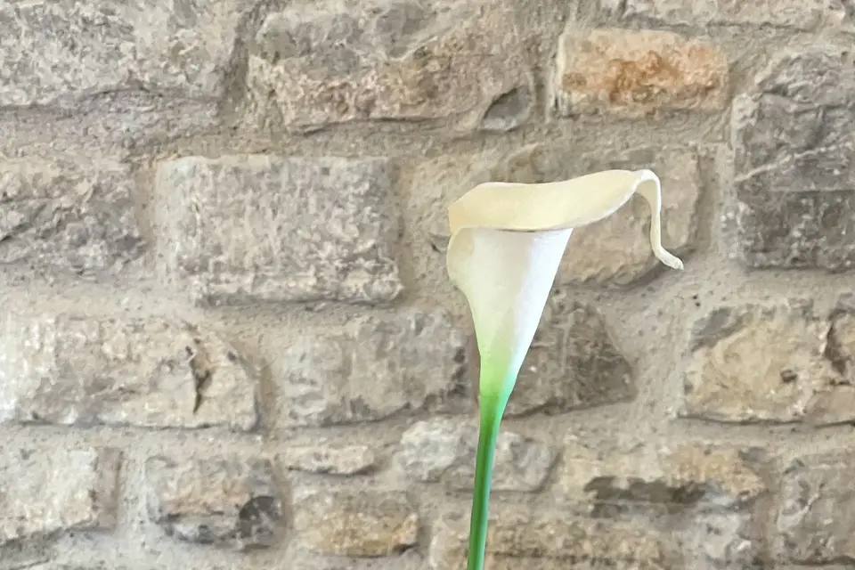 Audrey Egoyan L’Atelier — photo 2