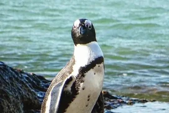 Un tour dans notre sac - Travel Planner — photo 4