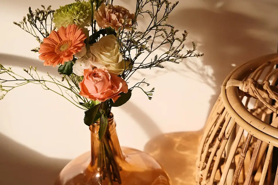 O'Green du Château d'Hem — photo 5