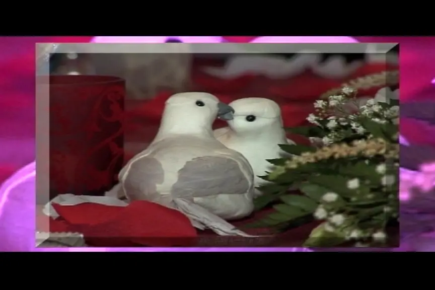 Wedding Replay — photo 4