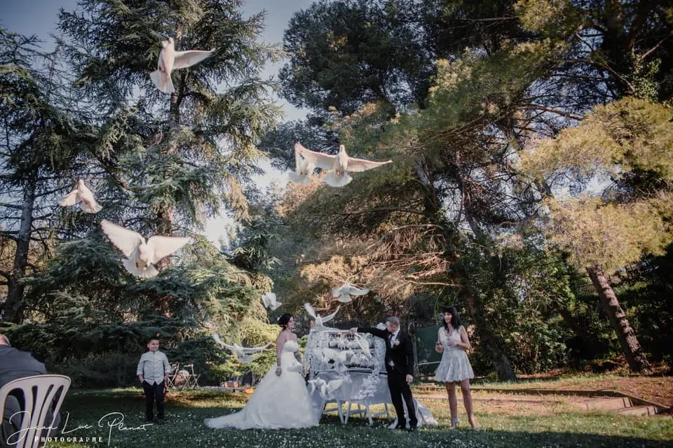 Spectacles 83 — photo 2