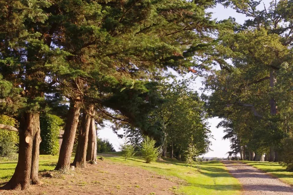 Manoir de Cahan — photo 3