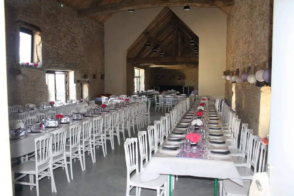 DVmillenium — photo 6