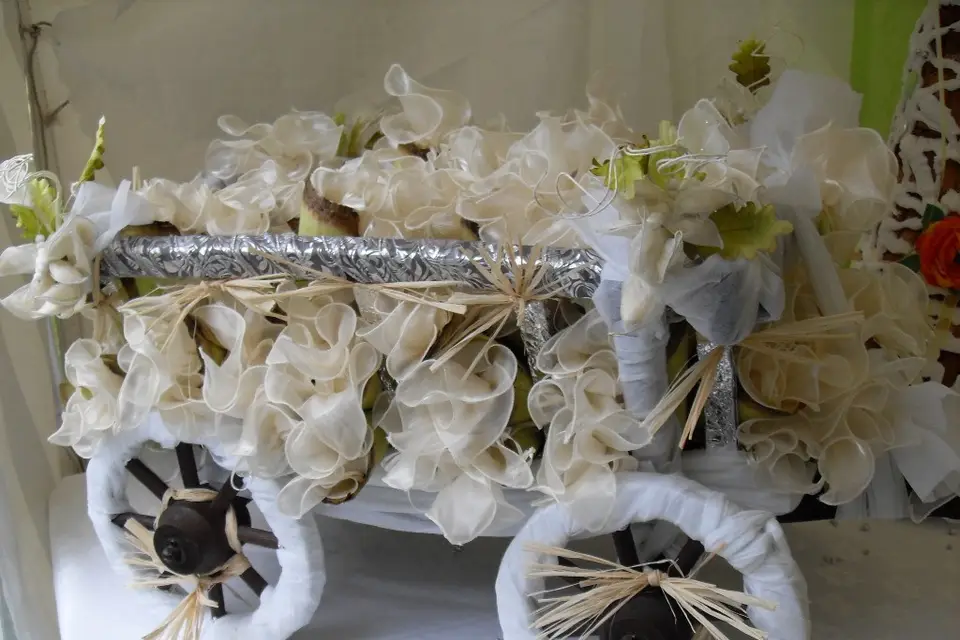 Nadia Ephestion — photo 5