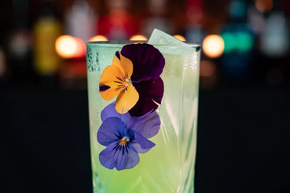 On the Rocks - Bar à cocktails mobile — photo 8