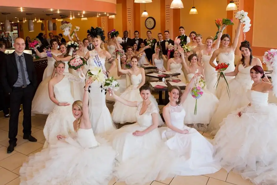 Le Chat Défile — photo 1