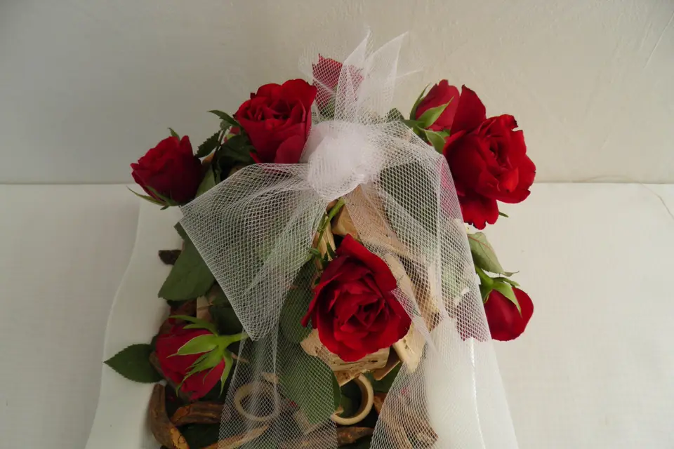 Nadia Ephestion — photo 1