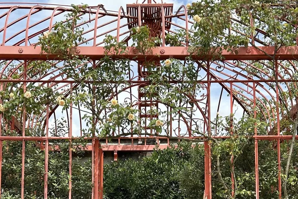 Alyna Couture — photo 5