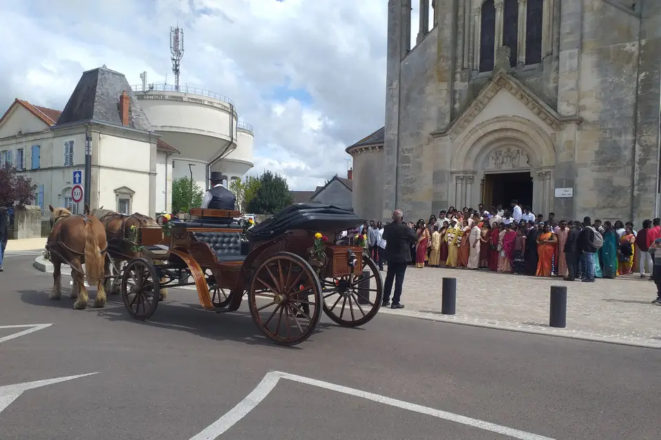 Le Petit Monde d'Aïlo — photo 4