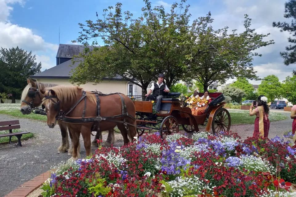 Le Petit Monde d'Aïlo — photo 2