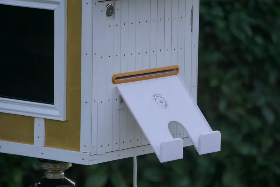 LifeBooth — photo 8