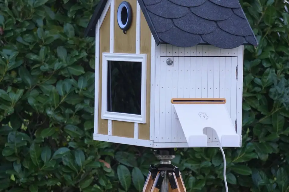 LifeBooth — photo 3