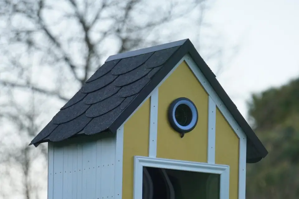 LifeBooth — photo 7