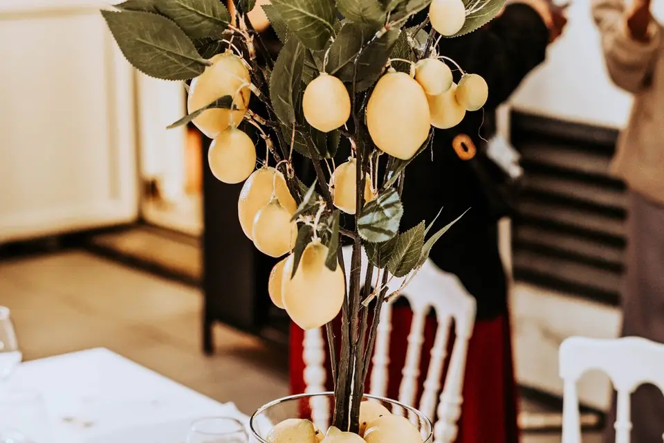 Mili Design — photo 4