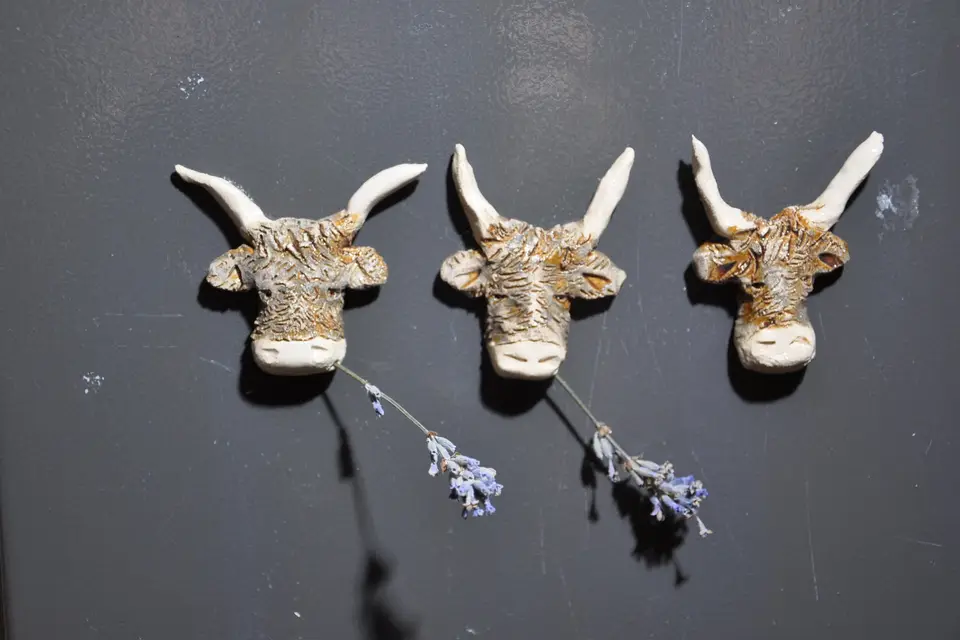 Carpe Diem — photo 4