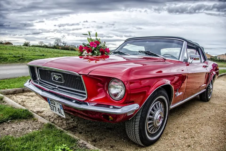 Manu Art'S Photographie — photo 3