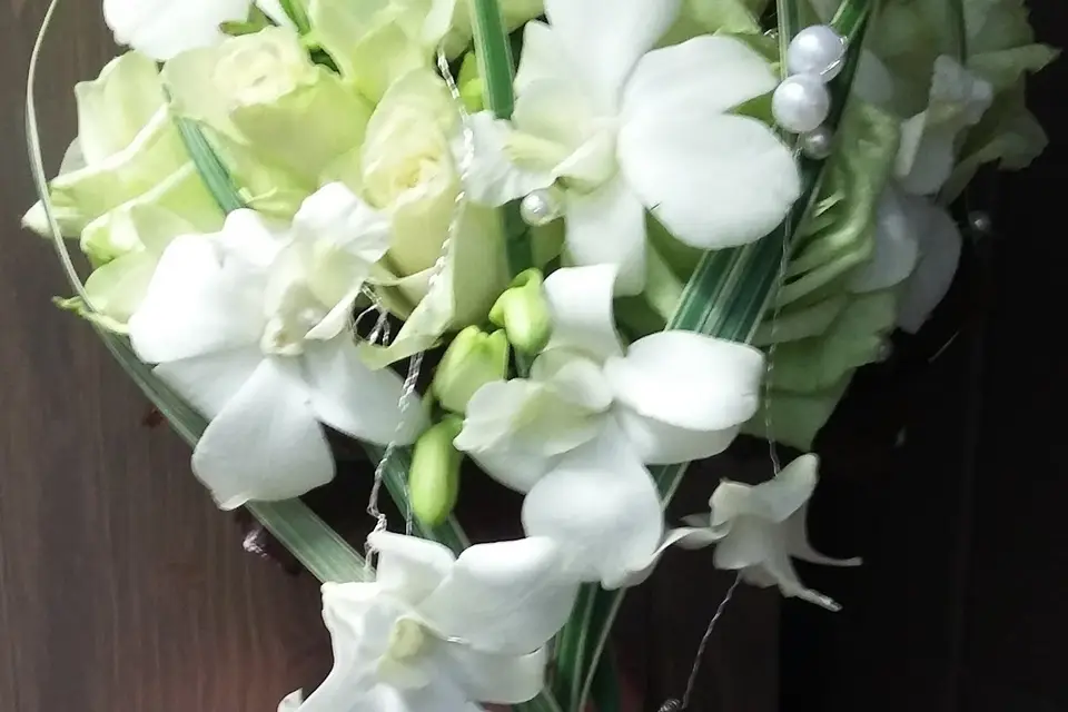 La Nature de l'Aune — photo 7