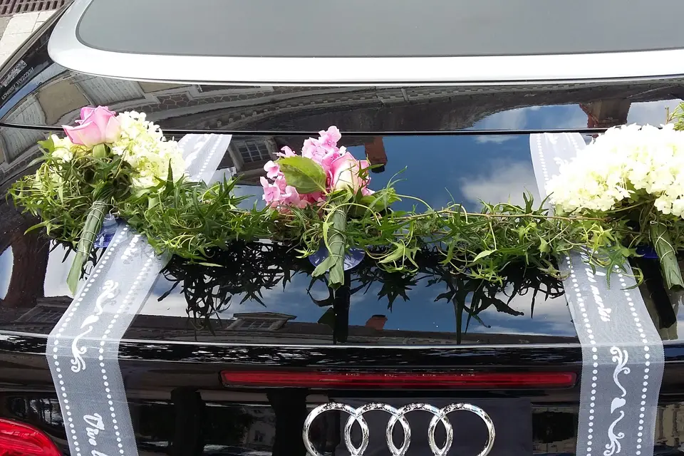 La Nature de l'Aune — photo 2