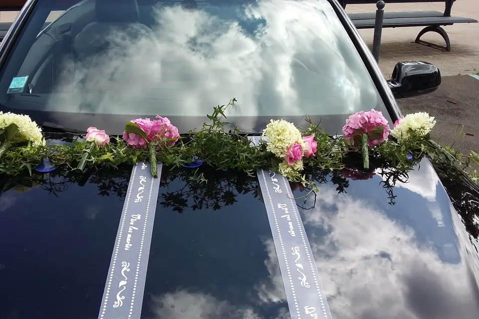 La Nature de l'Aune — photo 1