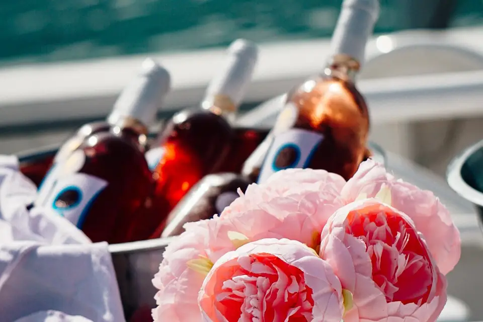 Compagnie des Bateaux du Lac du Bourget — photo 6