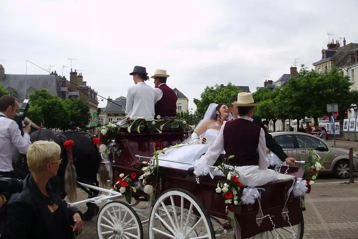 Ecuries d'Albe - Calèches — photo 6