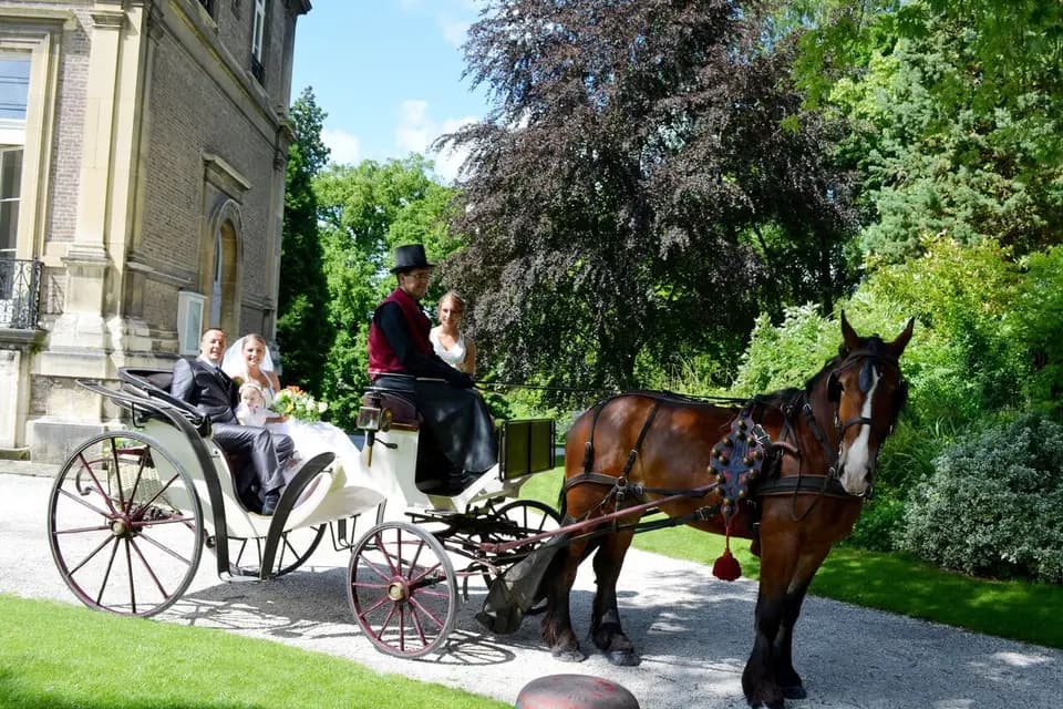 Les Calèches du Ponthieu — photo 6