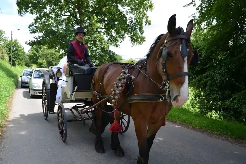 Les Calèches du Ponthieu — photo 5