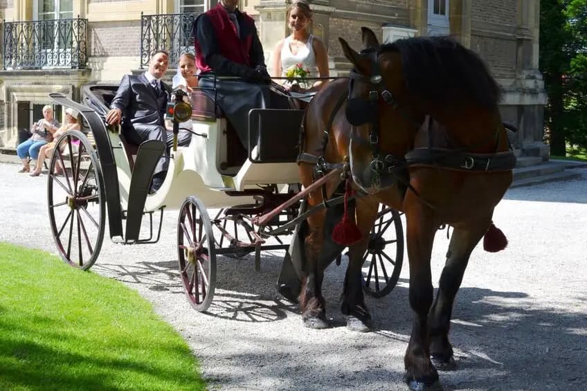 Les Calèches du Ponthieu — photo 4