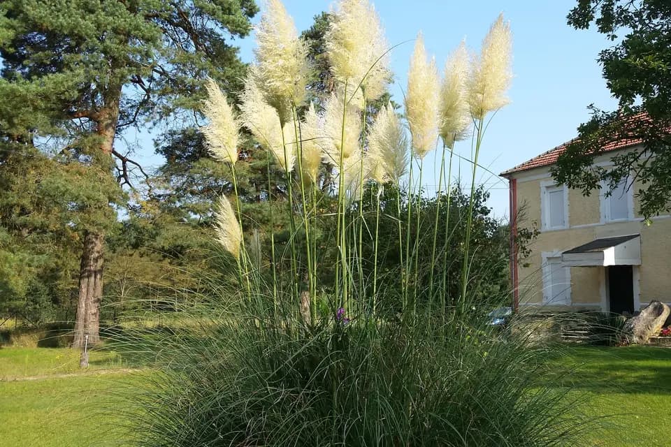 Domaine du Rocher — photo 8