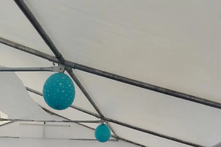 De Dicto Conseil — photo 4