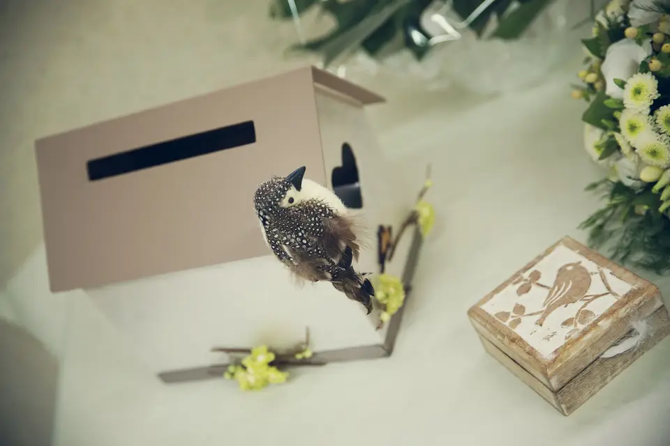 De Dicto Conseil — photo 3