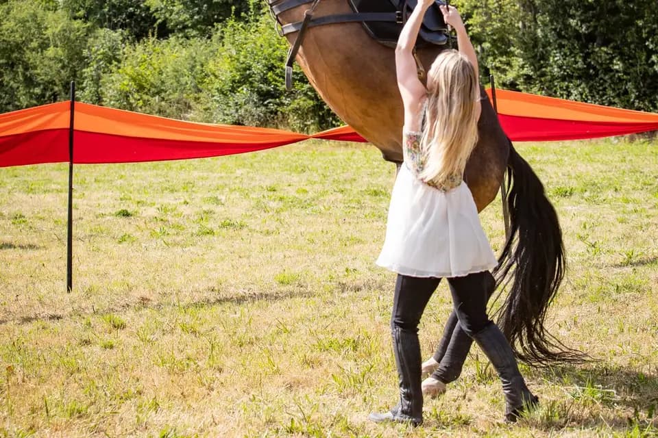 Marine Forestier Spectacle équestre — photo 2