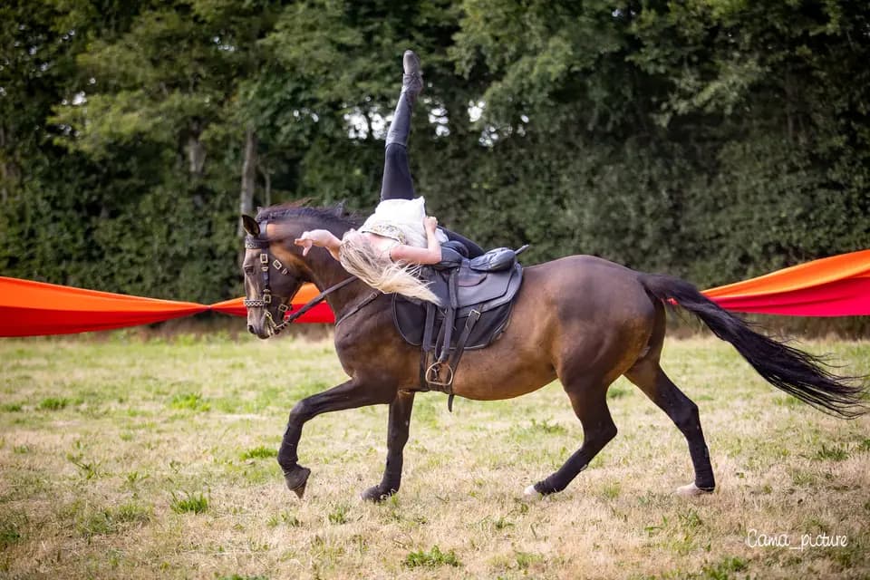 Marine Forestier Spectacle équestre — photo 3