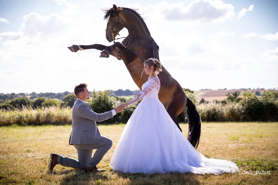 Marine Forestier Spectacle équestre — photo 1