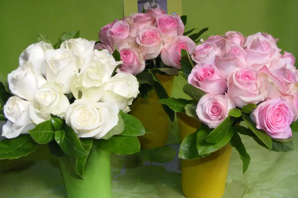 Fleurs Attitud' — photo 2