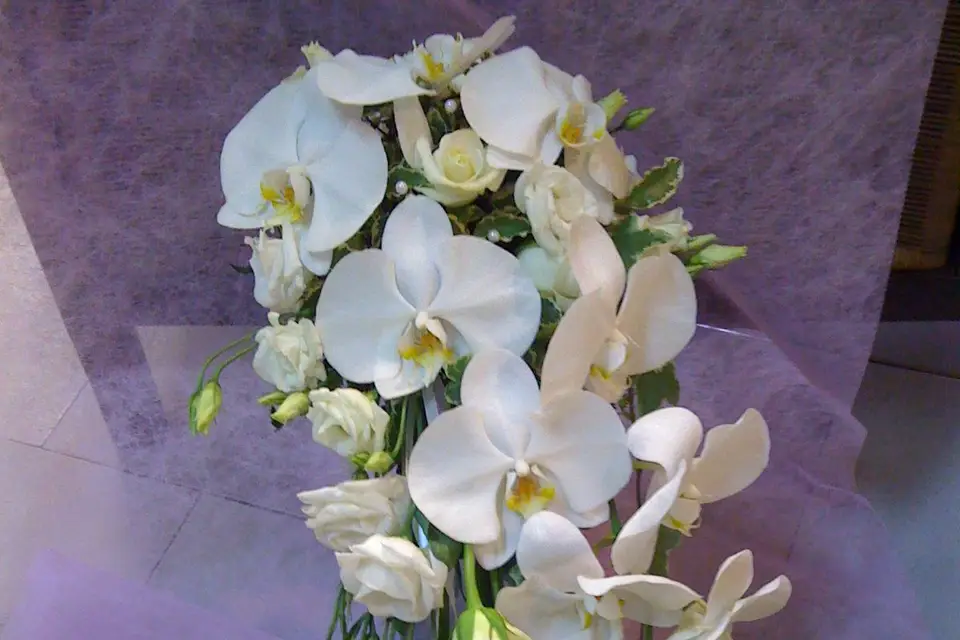 Fleurs Attitud' — photo 8