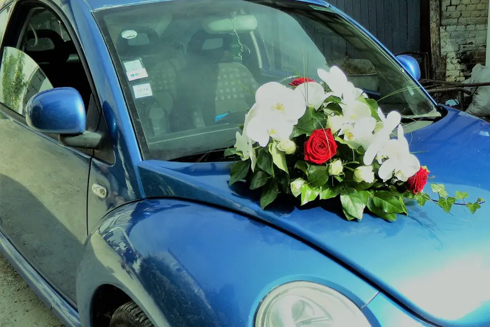 Jardin des Sacres — photo 4