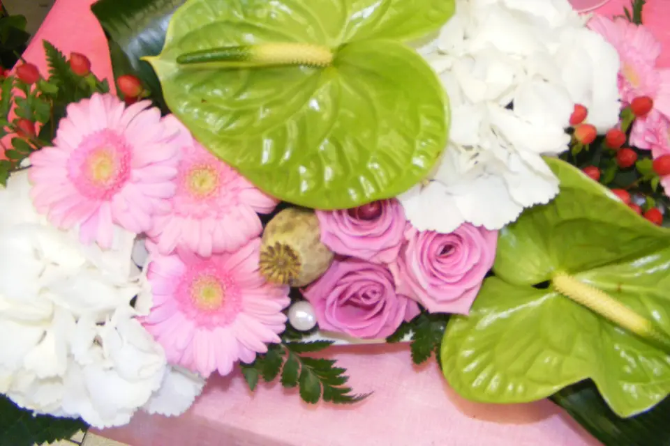 Fleurs Attitud' — photo 5